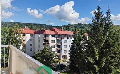 Pronájem bytu 1+1 35 m², Školní nám., Mariánské Lázně - Úšovice, okres Cheb