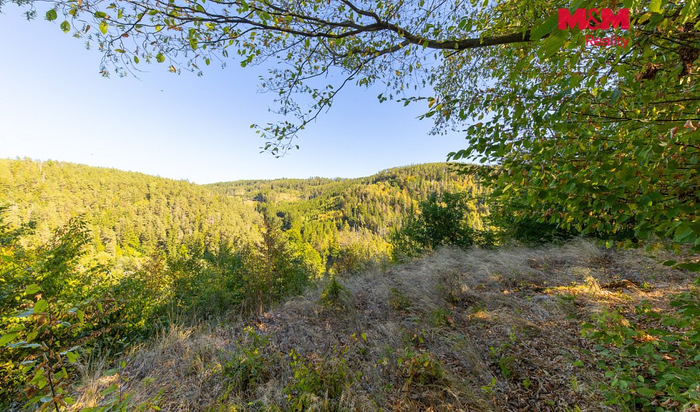 Prodej lesa 7 450 m², Lomnice – náhled fotky 2