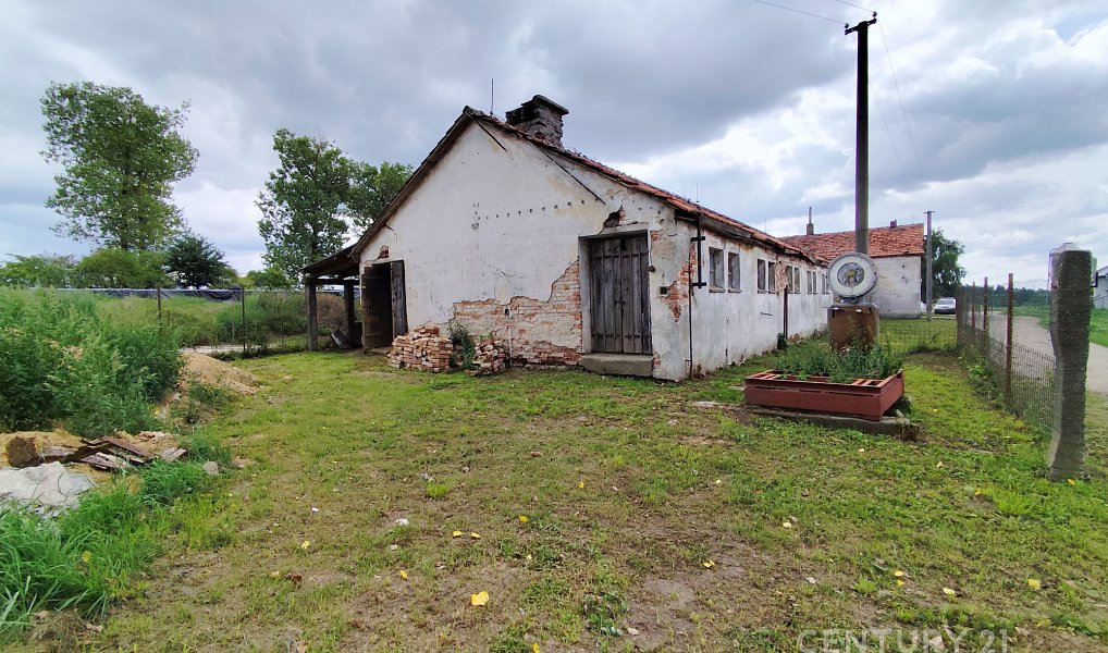 Prodej zemědělského objektu 350 m², Lodhéřov – náhled fotky 11