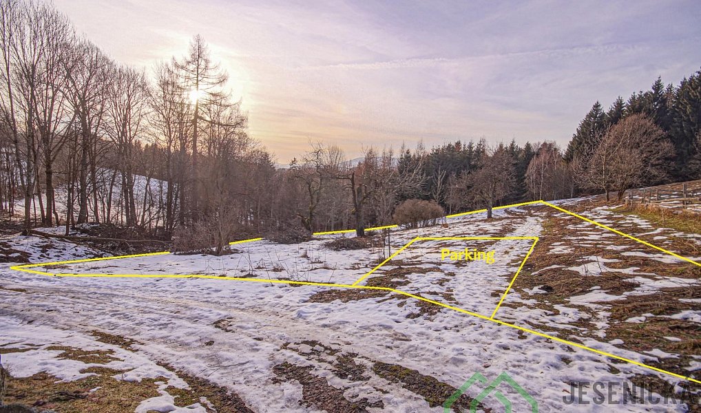 Prodej louky 2 772 m², Branná – náhled fotky 9
