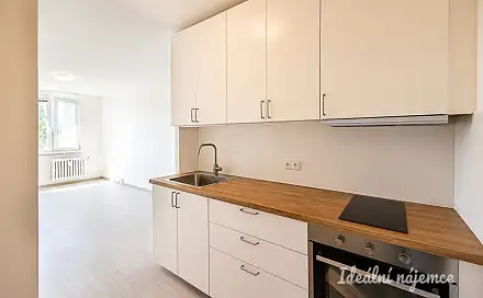 Pronájem bytu 2+kk 42 m²