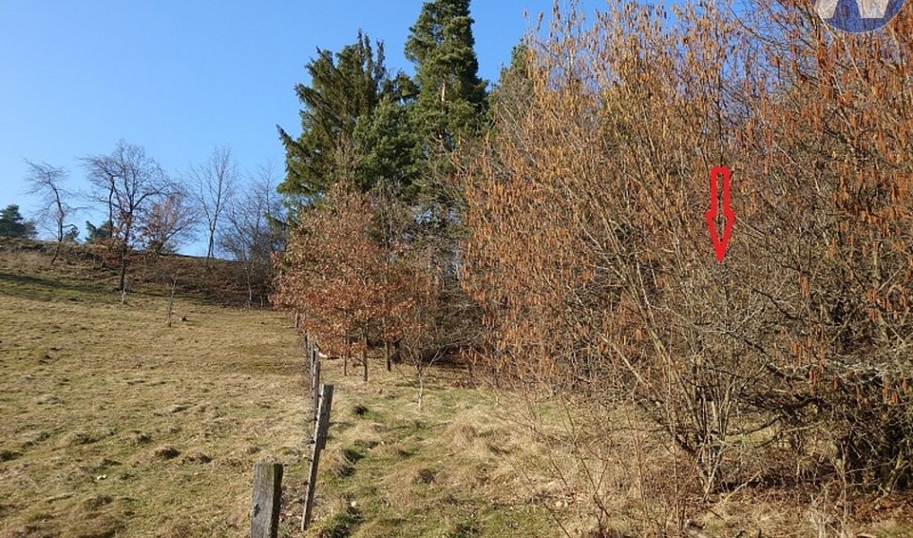 Prodej pozemku 1 999 m², Vlachovo Březí – náhled fotky 7