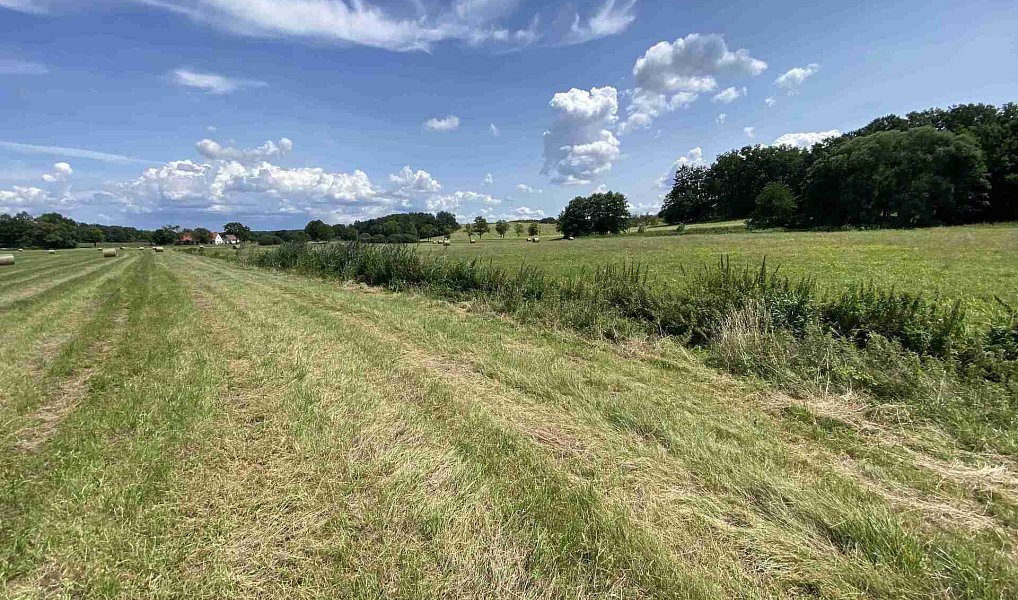 Prodej pole 55 481 m², Lhenice – náhled fotky 18