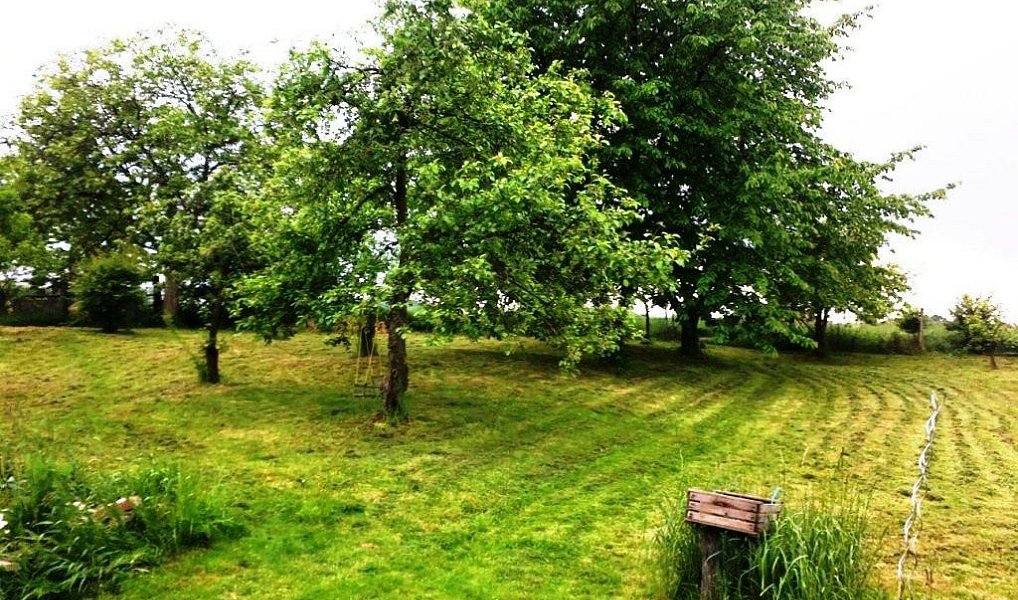 Prodej zemědělského objektu 20 000 m², Labuty – náhled fotky 3