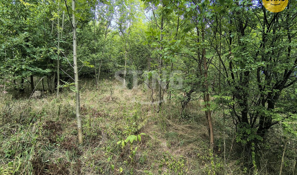 Prodej stavebního pozemku 2 800 m², Třinec – náhled fotky 11