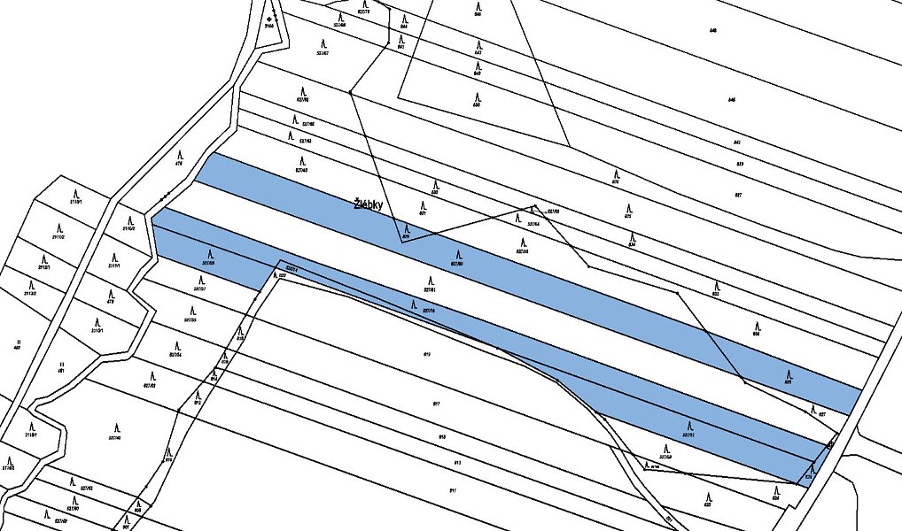 Prodej lesa 11 699 m², Šarovy – náhled fotky 3