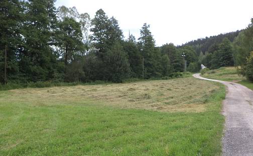 Prodej pozemku 7 089 m², Hostinné, okres Trutnov