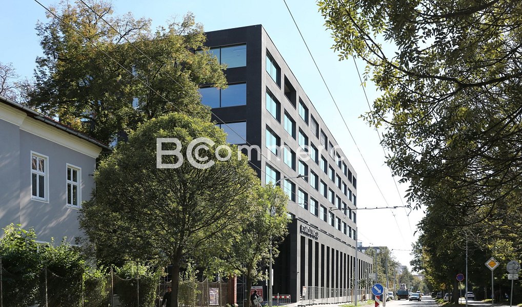 Pronájem kanceláře 160 m², Brno – náhled fotky 3