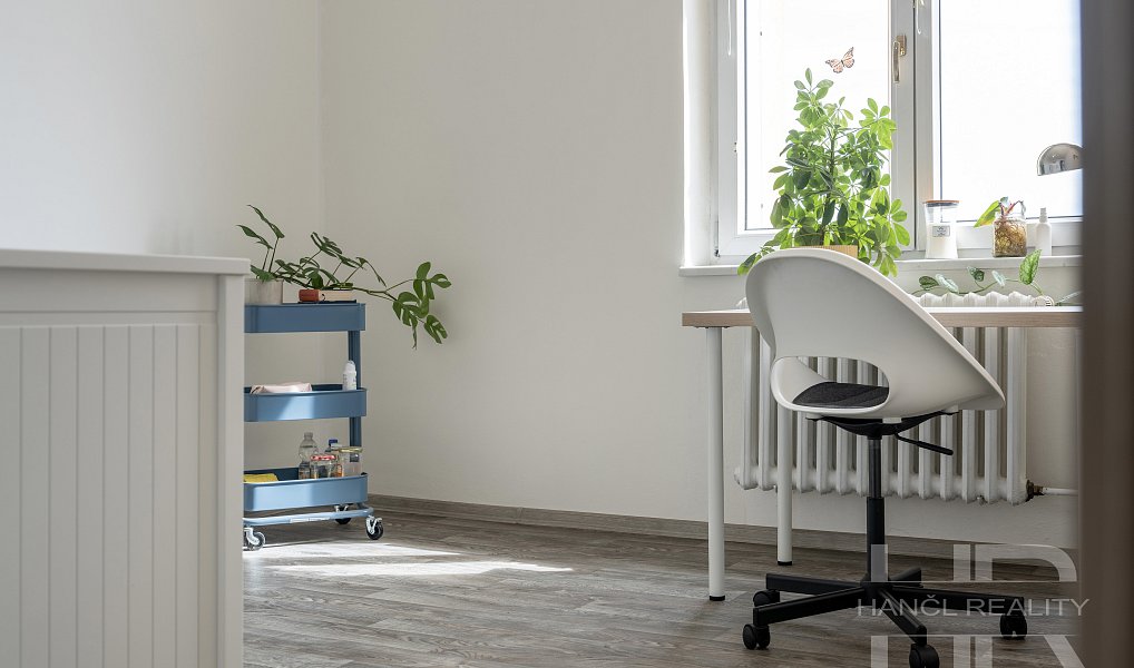Prodej bytu 3+1 66 m², Brno – náhled fotky 19