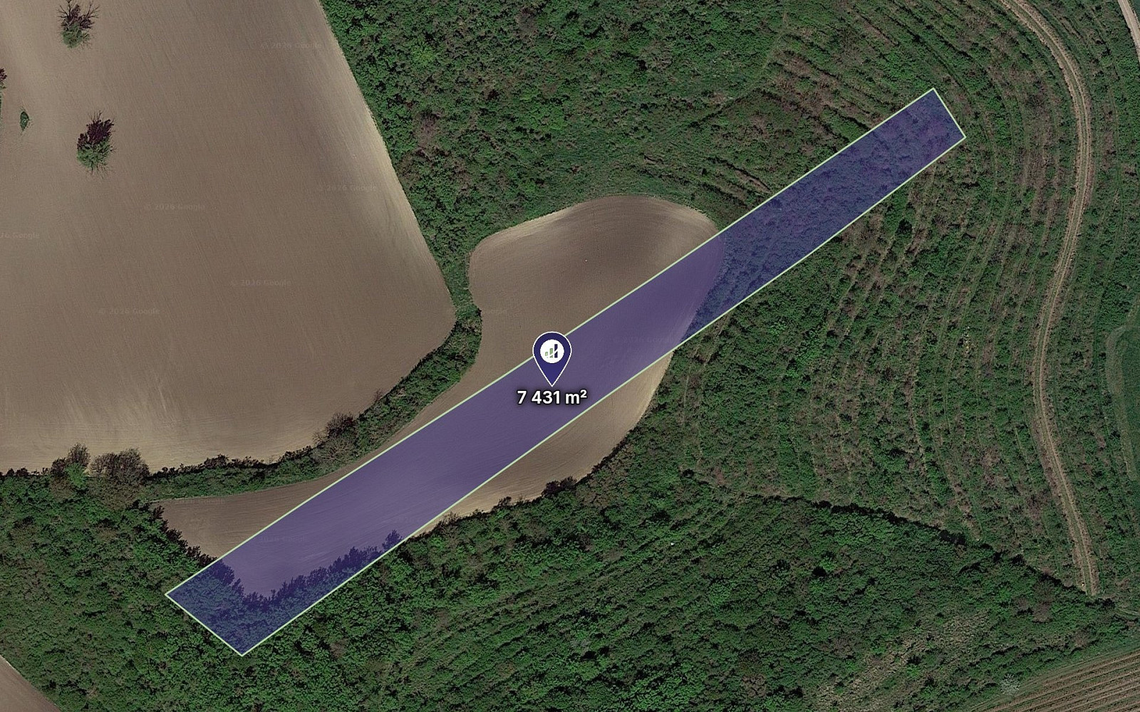 Prodej pole 7 431 m²