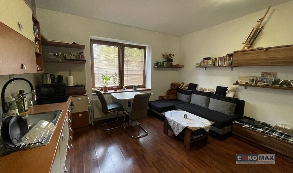 Pronájem bytu 1+kk 27 m², Břeclav – náhled fotky 5