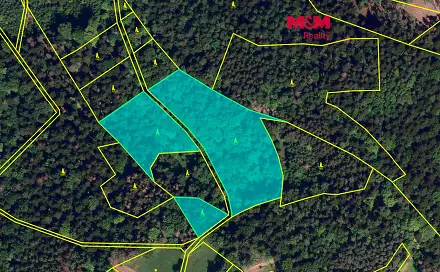 Prodej lesa 26 129 m², Rusava, okres Kroměříž