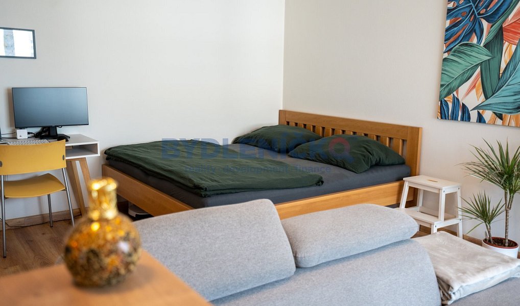 Prodej bytu 1+kk 45 m², České Budějovice – náhled fotky 9