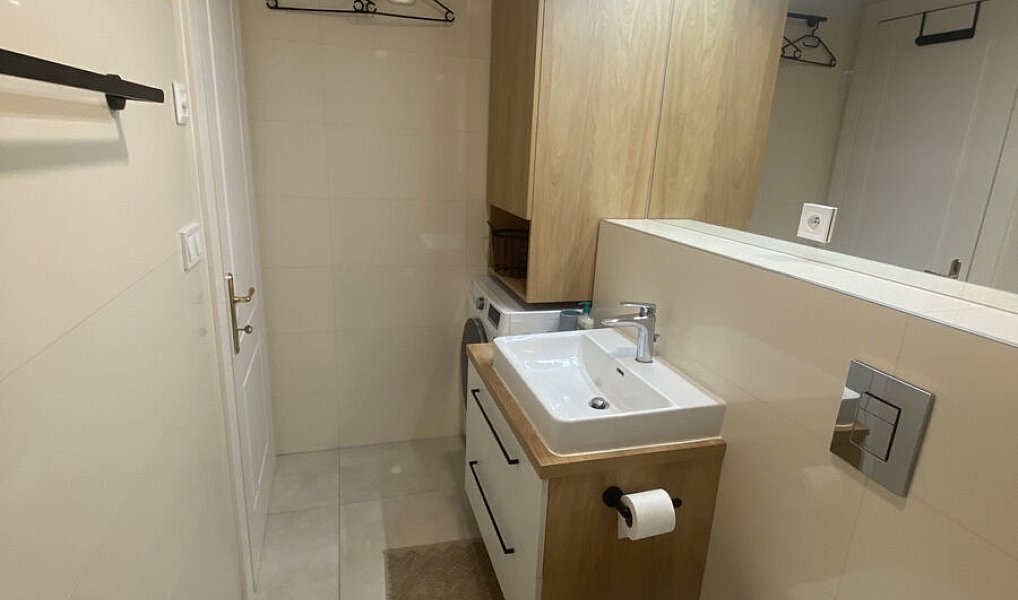 Pronájem bytu 1+kk 37 m², Praha – náhled fotky 8