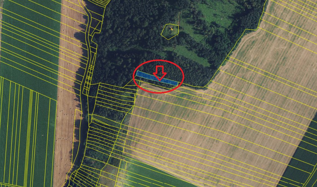 Prodej lesa 148 m², Druztová – náhled fotky 2