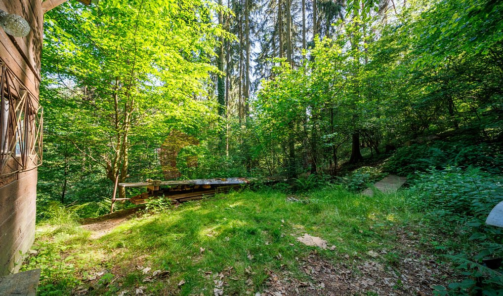 Prodej chaty/chalupy 40 m², Krňany – náhled fotky 16