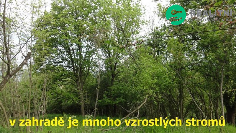 Fotka 10 z 12