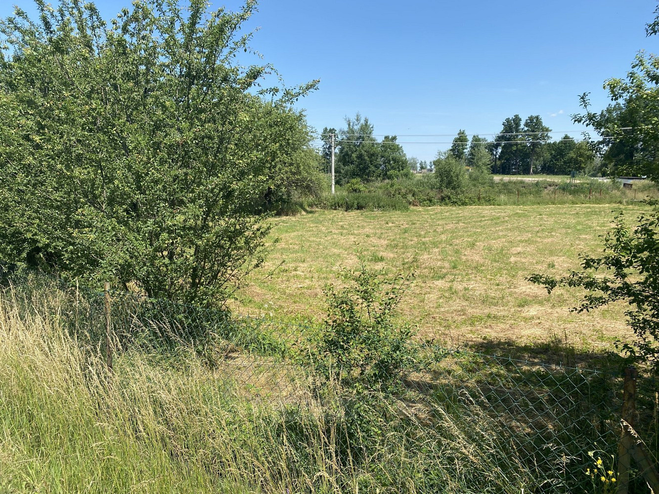 Prodej chaty/chalupy 410 m² s pozemkem 3 853 m² – fotografie 5
