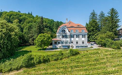 Prodej domu 1 361 m² s pozemkem 12 320 m², Kapfstrasse, Balgach, Švýcarsko