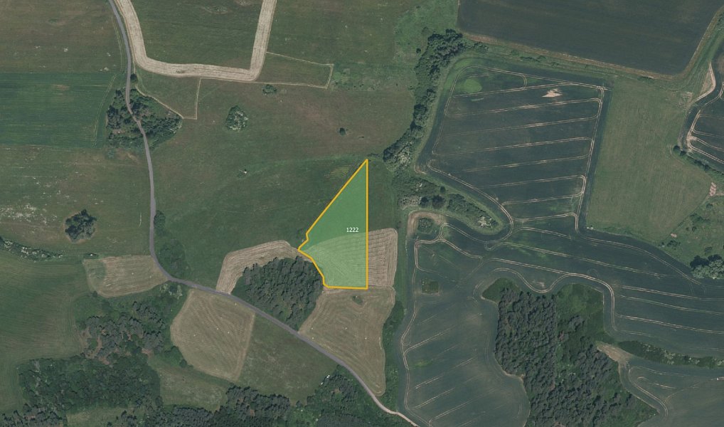 Prodej louky 13 638 m², Pačejov – náhled fotky 3