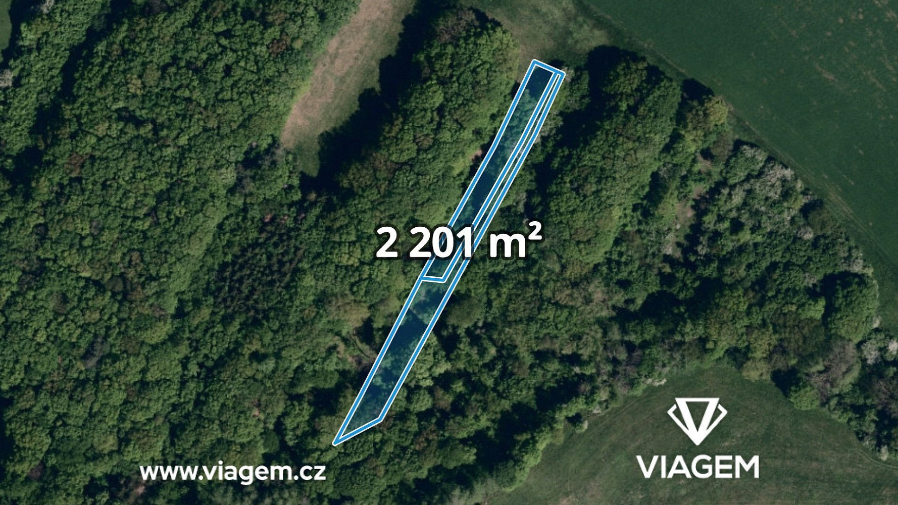 Prodej lesa 1 100 m²