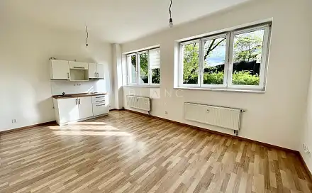 Pronájem bytu 1+kk 35 m²