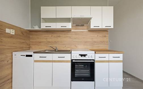 Pronájem bytu 2+1 55 m², Dukelská, Třinec - Lyžbice, okres Frýdek-Místek