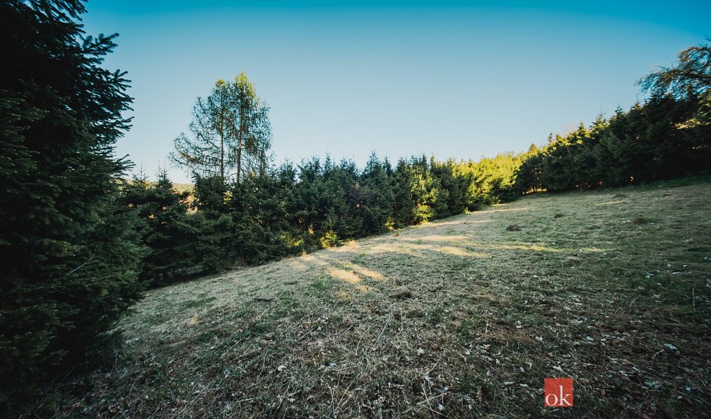Prodej stavebního pozemku 1 284 m², Sušice – náhled fotky 18