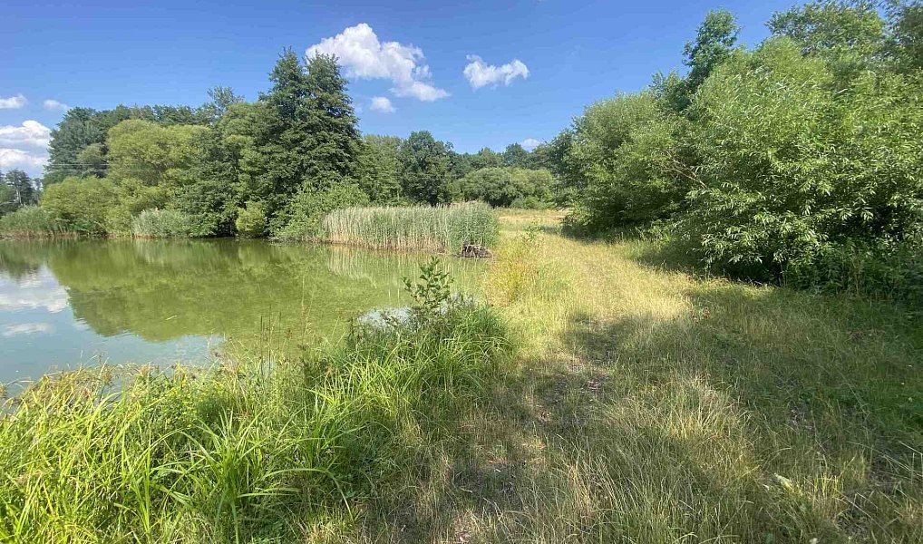Prodej pozemku 2 756 m², Třeboň – náhled fotky 6
