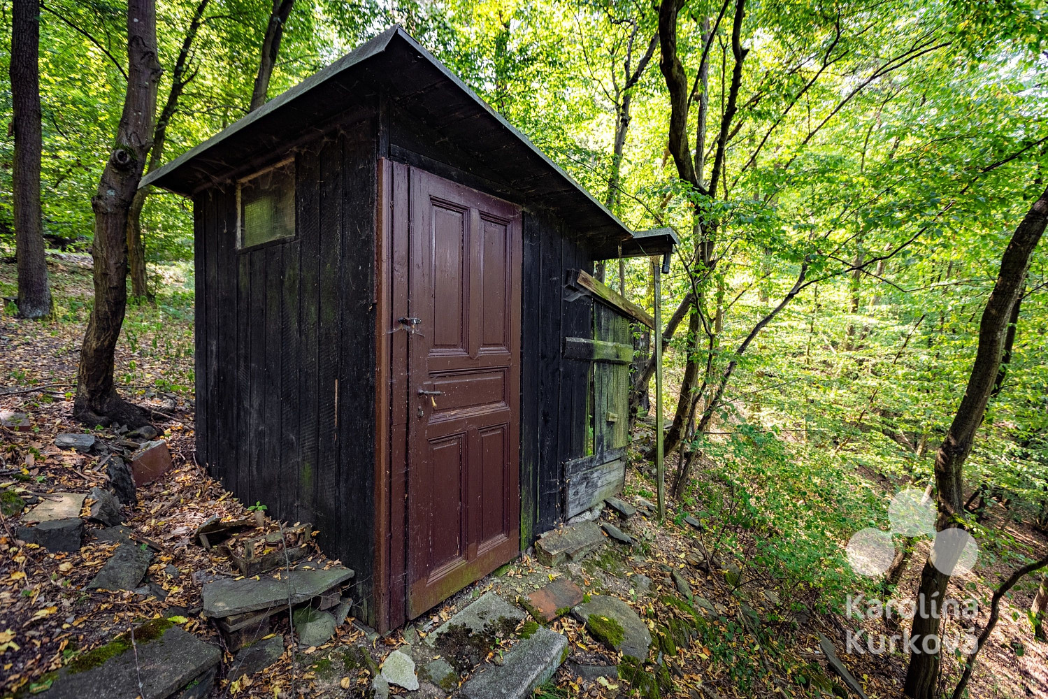 Prodej chaty/chalupy 24 m² s pozemkem 113 m² – fotografie 4