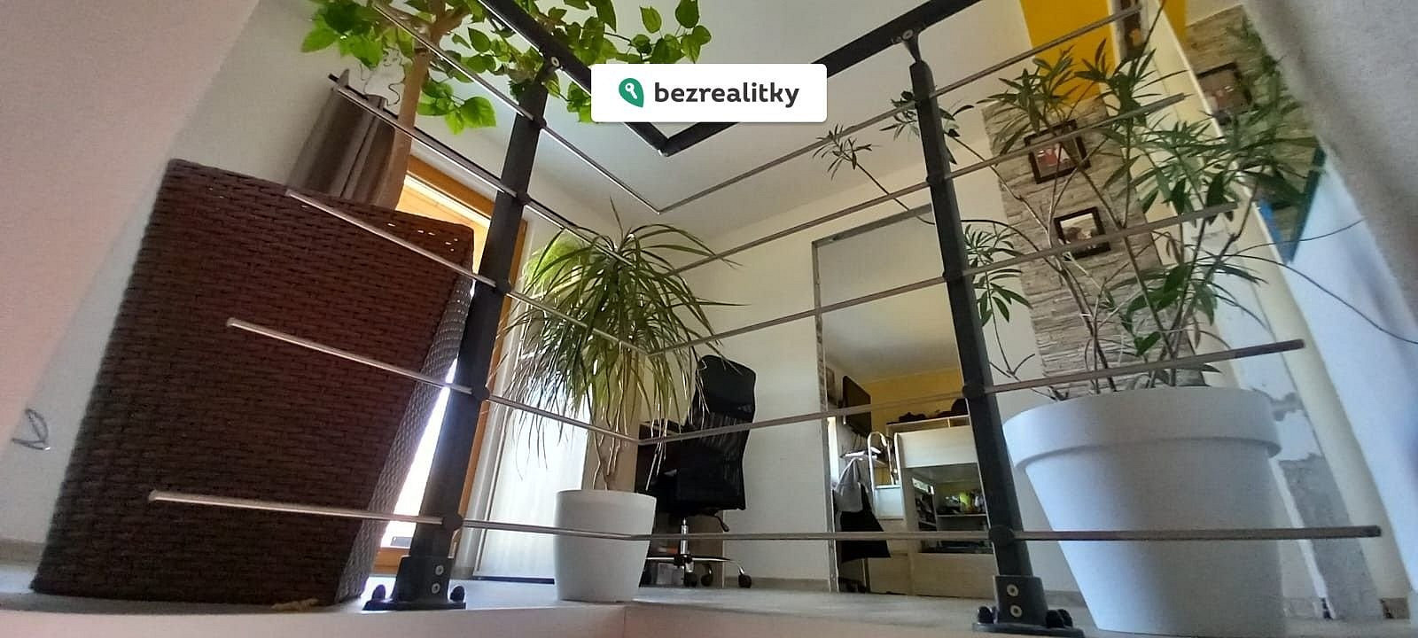 Fotka 10 z 19