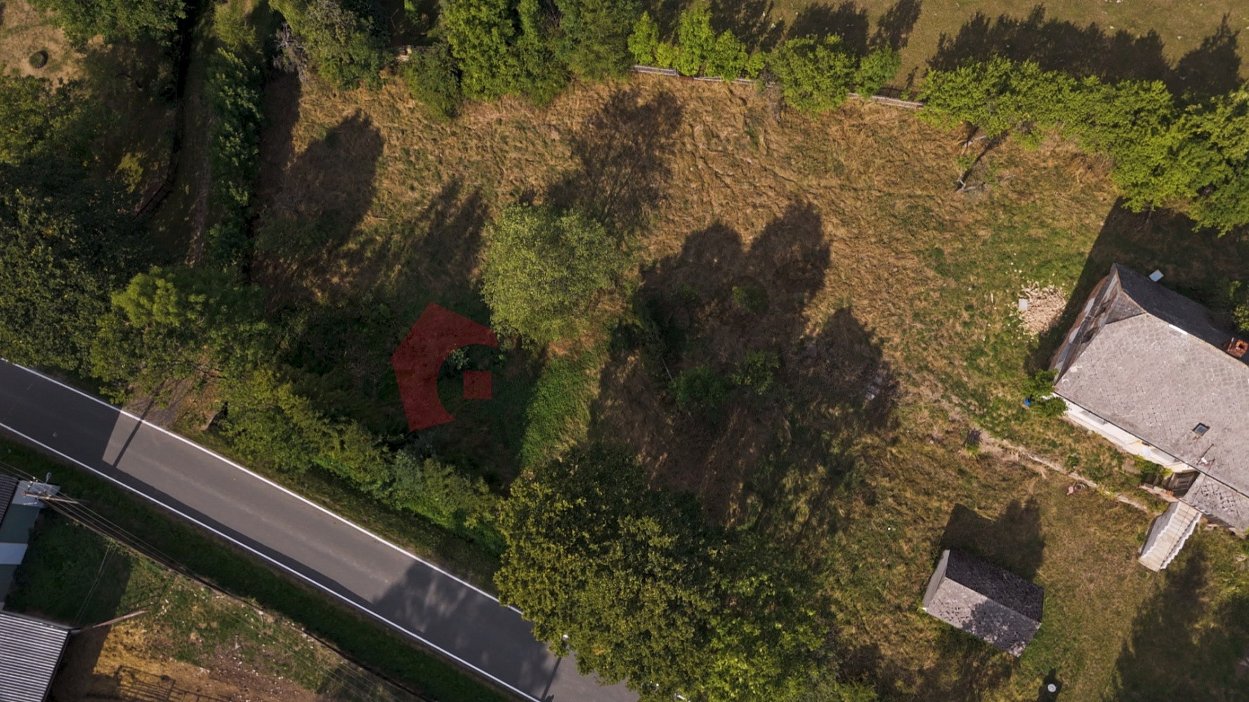 Fotka 2 z 12