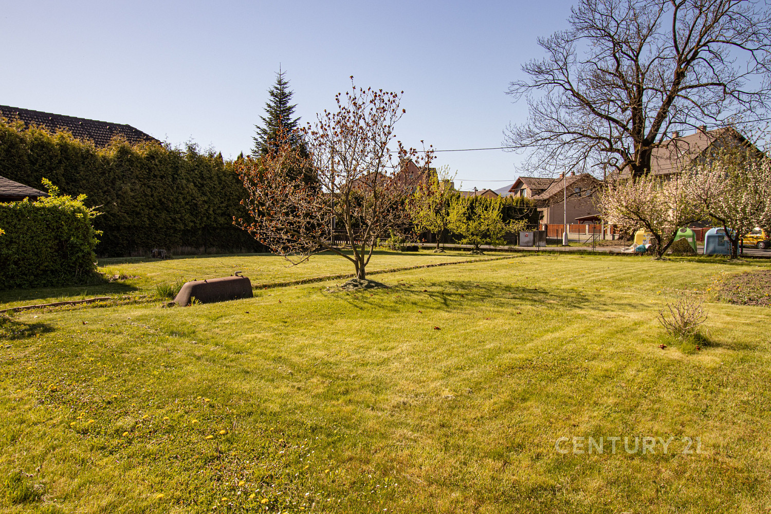 Prodej stavebního pozemku 800 m² – fotografie 3