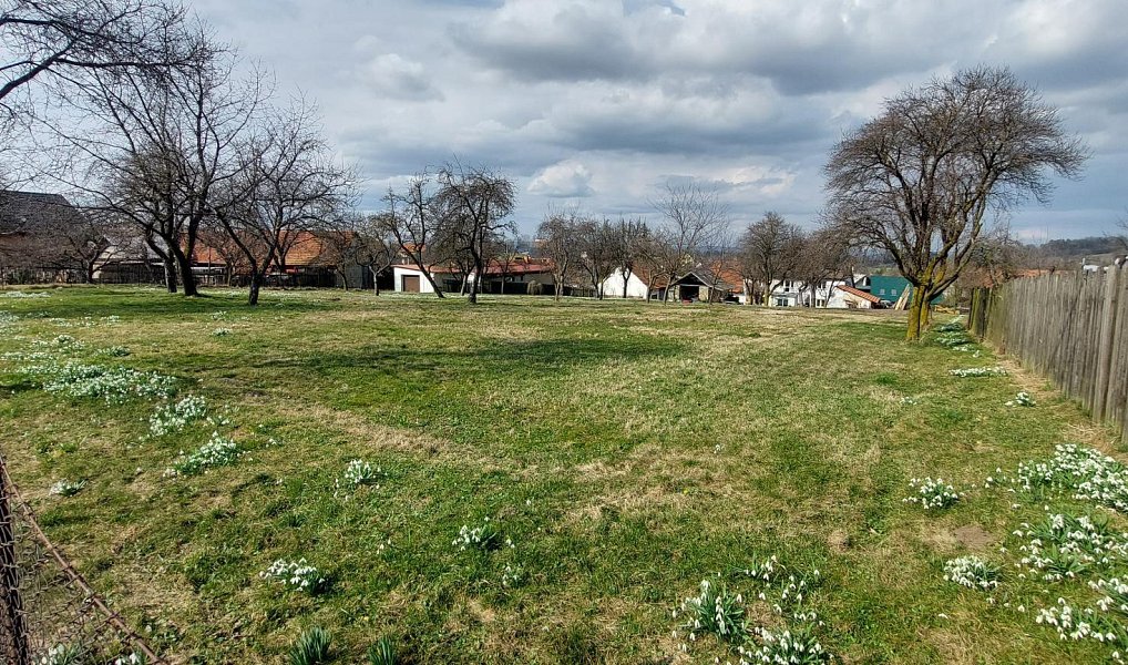 Prodej stavebního pozemku 1 563 m², Lešná – náhled fotky 6