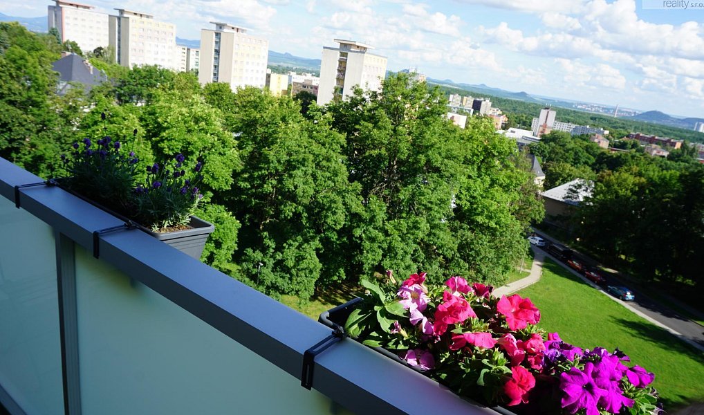 Prodej bytu 3+1 64 m², Litvínov – náhled fotky 6