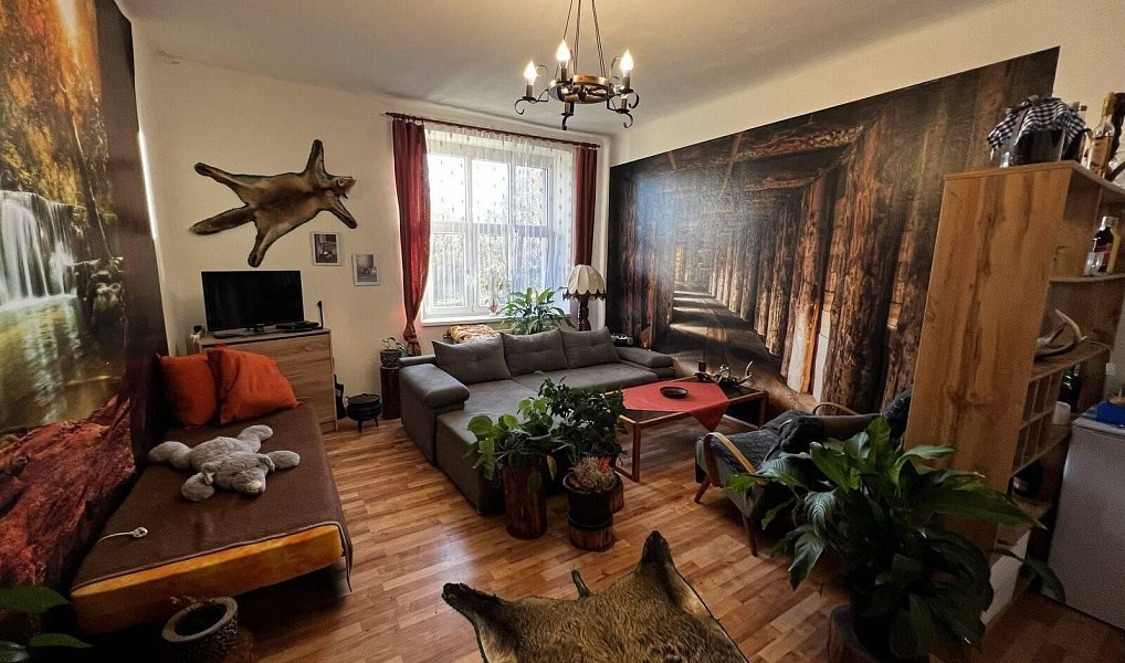 Prodej bytu 2+1 110 m², Horní Dvořiště – náhled fotky 2