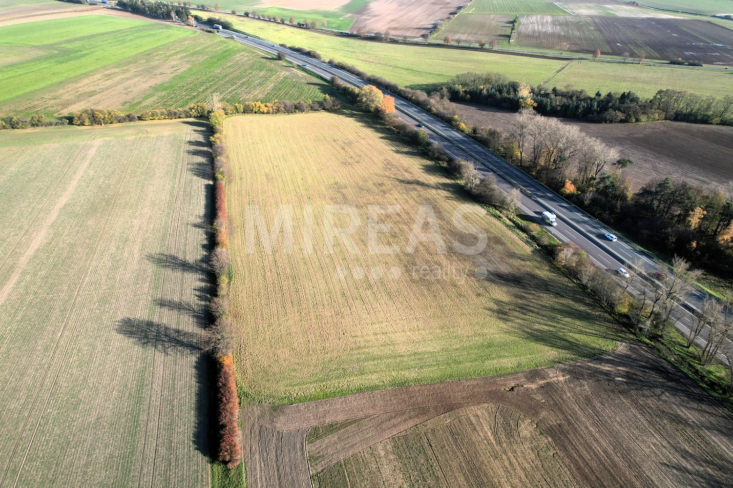 Prodej pole 16 095 m²