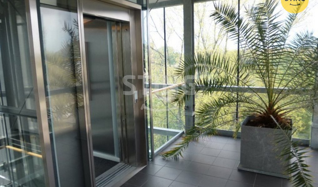 Pronájem kanceláře 252 m², Ostrava – náhled fotky 3