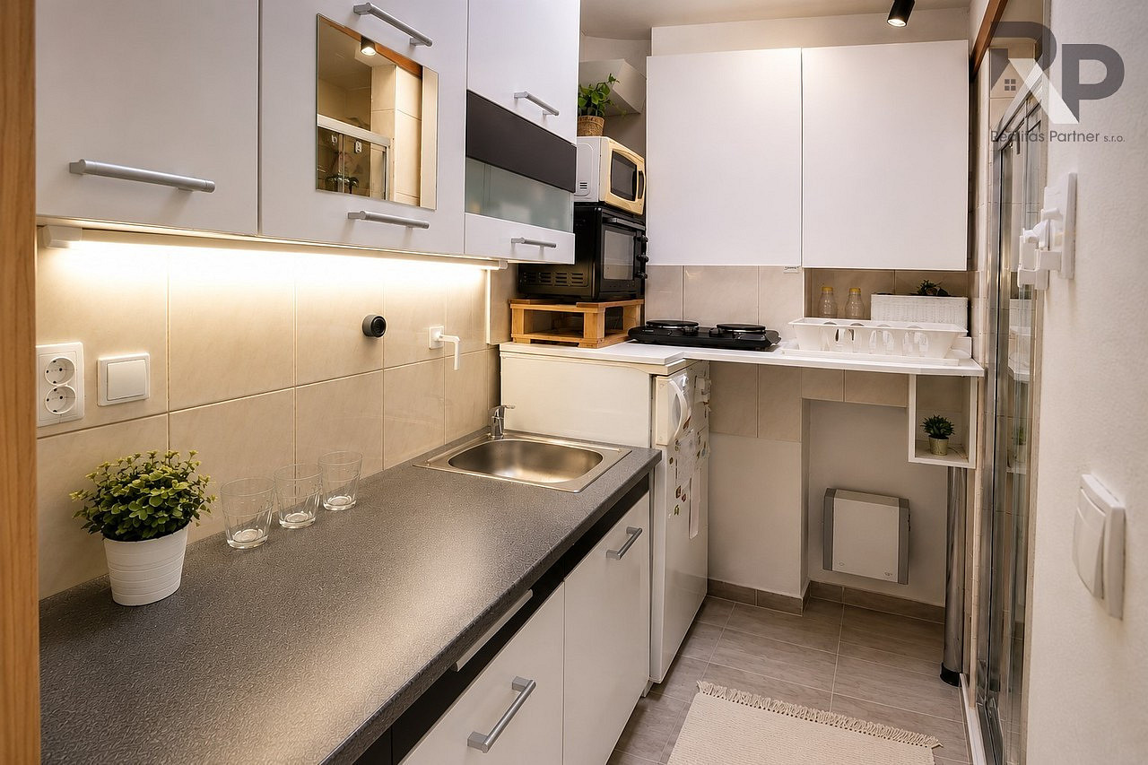 Pronájem bytu 1+1 22 m² — photo 5