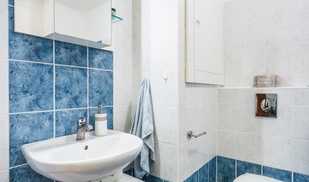 Prodej bytu 1+kk 40 m², Brno – náhled fotky 11