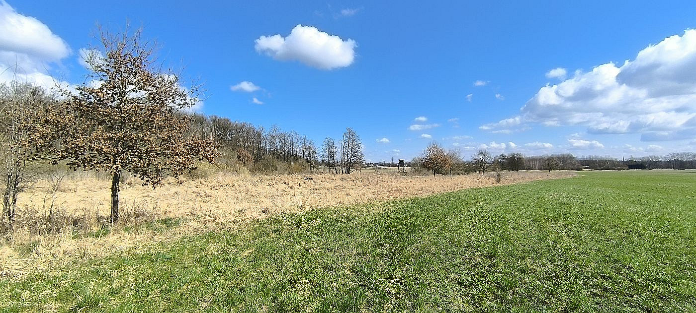 Prodej pole 7 083 m² – fotografie 2