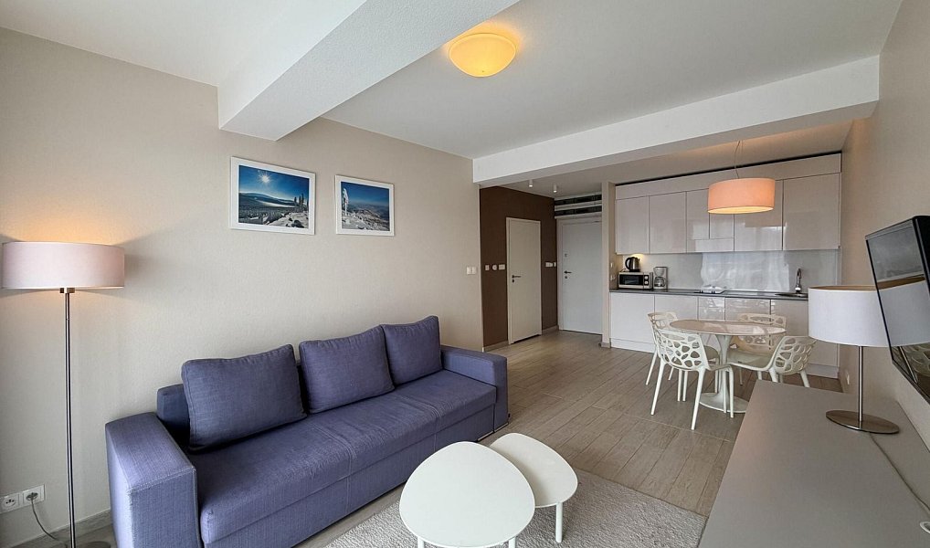 Prodej bytu 2+kk 40 m², Dolní Morava – náhled fotky 3