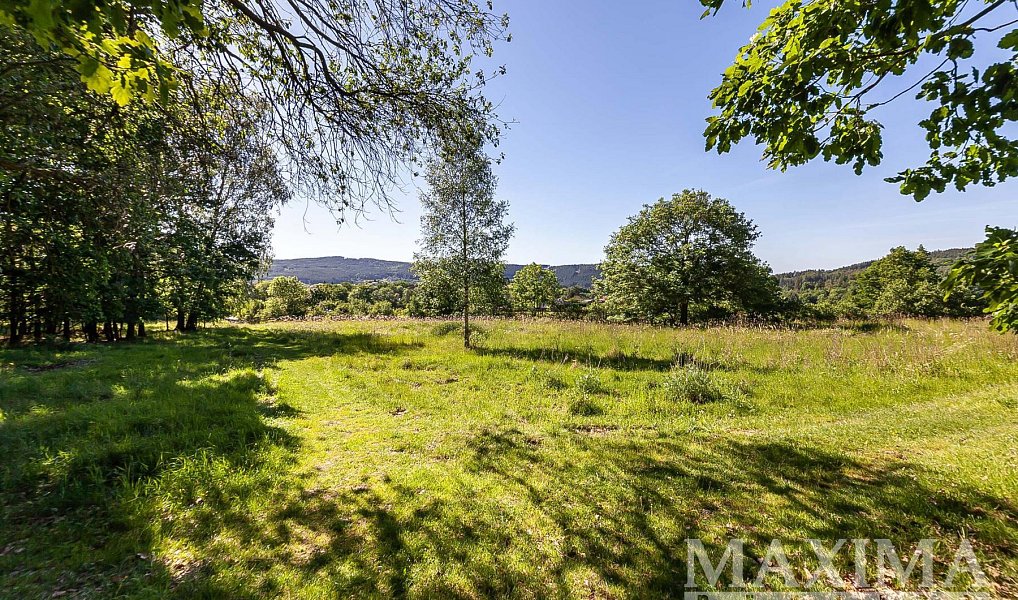 Prodej stavebního pozemku 4 612 m², Hluboš – náhled fotky 5