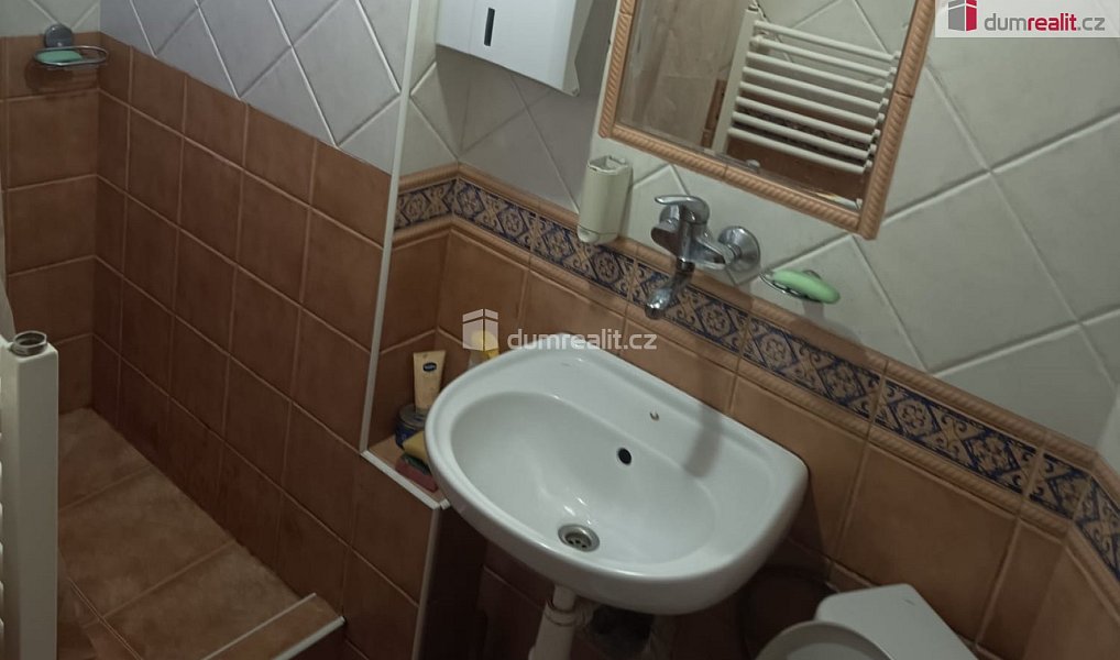Pronájem bytu 5+kk 20 m², Praha – náhled fotky 4