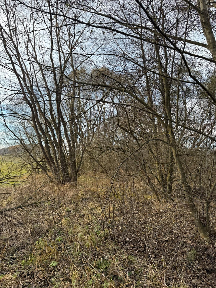 Prodej pozemku 21 761 m² – fotografie 4