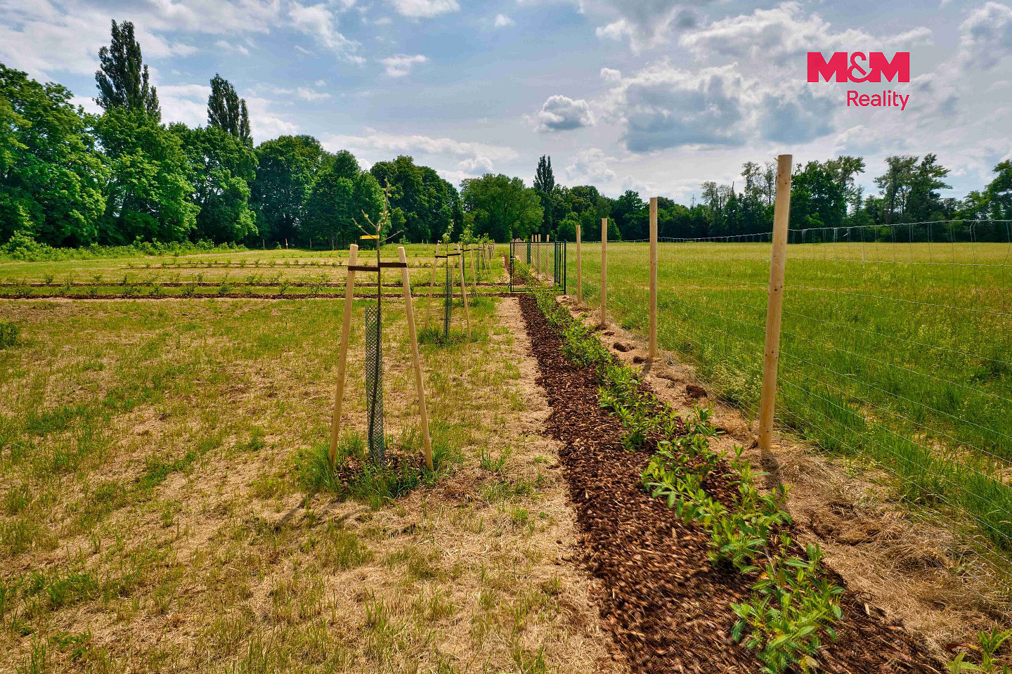 Prodej zahrady 500 m² – fotografie 3