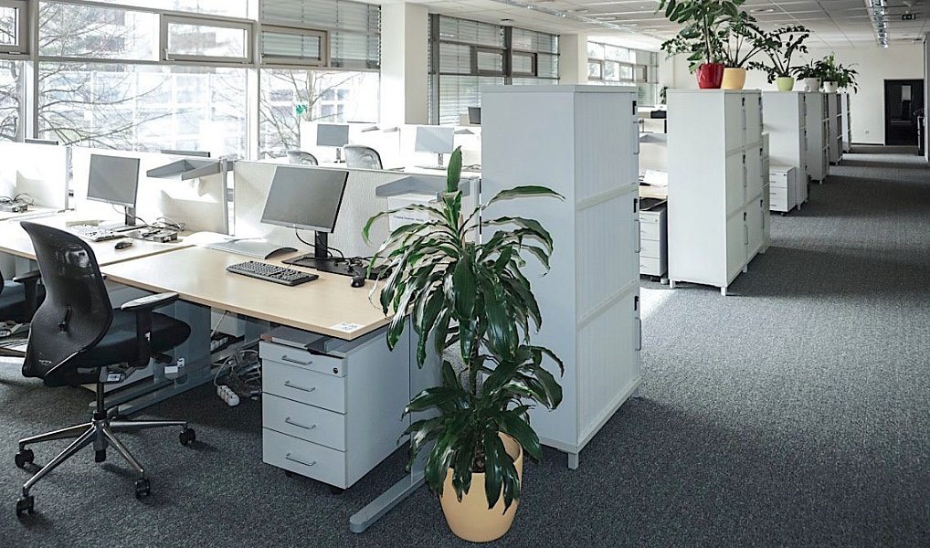 Pronájem kanceláře 150 m², Ořech – náhled fotky 3