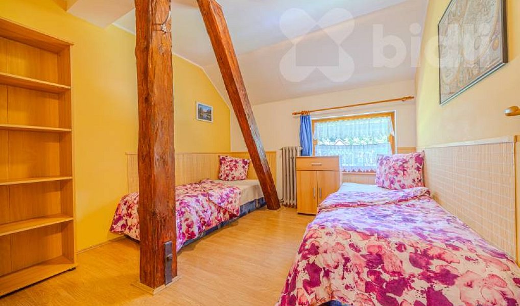 Prodej ubytovacího objektu 513 m², Branná – náhled fotky 13
