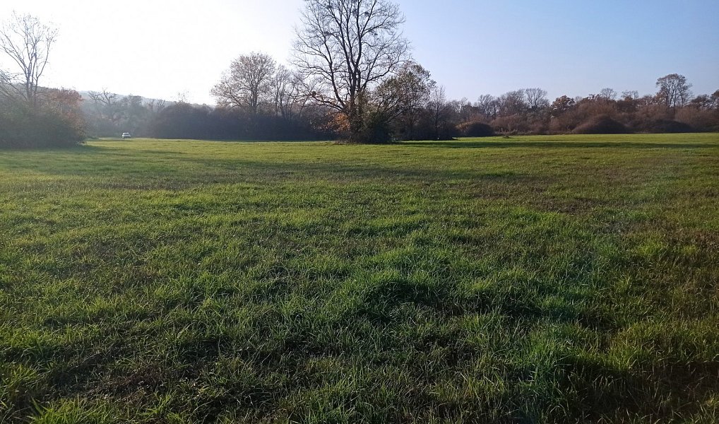 Prodej louky 5 838 m², Bulhary – náhled fotky 5