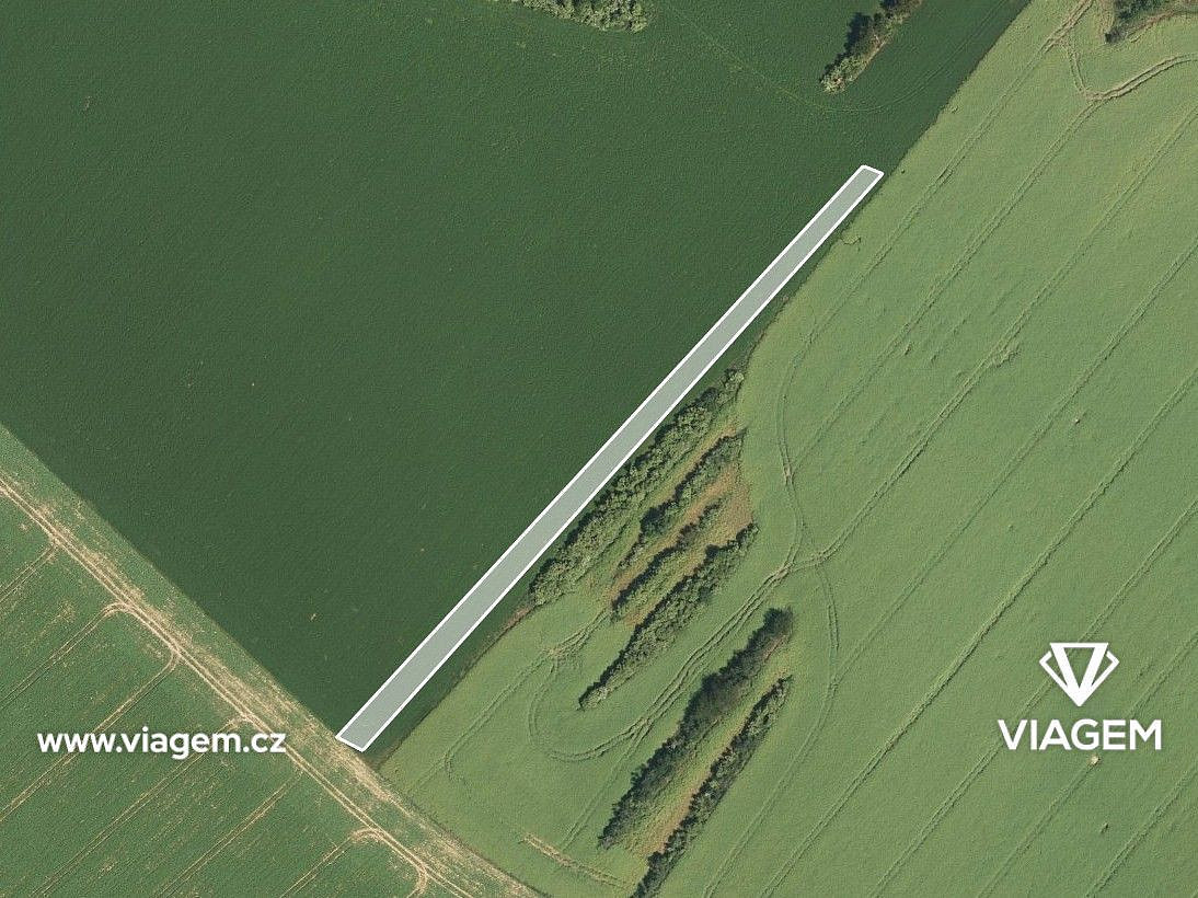 Prodej pole 1 385 m² – fotografie 2